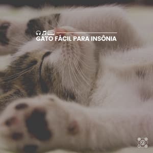Gato Fácil para Insônia - Musica para Gatos
