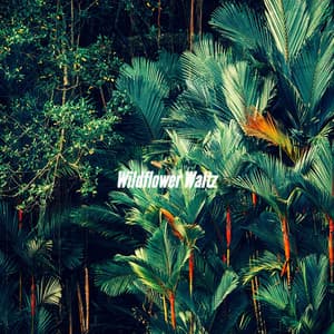 Wildflower Waltz - Coffee Shop Lounge