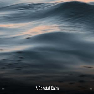 !!!!" A Coastal Calm "!!!! - Ocean Waves