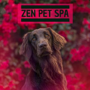 Zen Pet Spa - Relaxing Music for Nail Trimming, Stressful Situations, Separation Anxiety - Pet Care Music Therapy