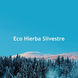 Eco Hierba Silvestre - Música de la Naturaleza