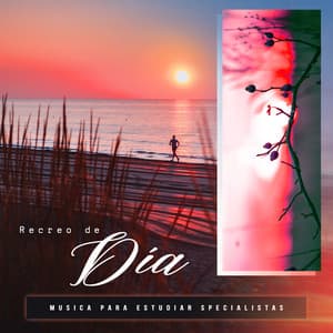 Recreo de Día - Musica para Estudiar Specialistas