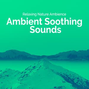 Ambient Soothing Sounds - Relaxing Nature Ambience