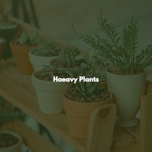 Haeavy Plants - Cafe Jazz Trio Japan