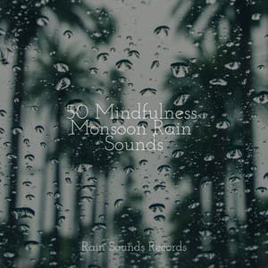 50 Mindfulness Monsoon Rain Sounds - Ambiente