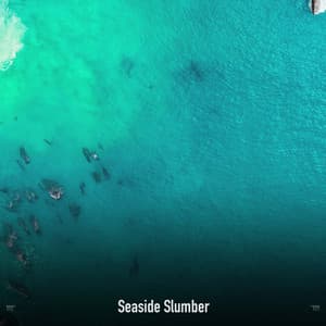 !!!!" Seaside Slumber "!!!! - Ocean Waves
