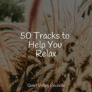 50 Tracks to Help You Relax - Rain Sound Plus