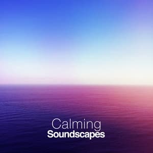 Calming Soundscapes - Sleepy Night Music