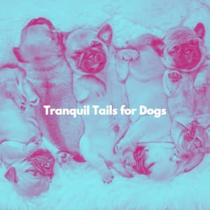 Tranquil Tails for Dogs - Jazz para Relajante