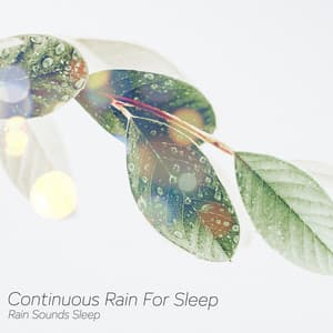 Continuous Rain For Sleep - Rain Sounds Sleep