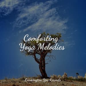 Comforting Yoga Melodies - Lush Rain Creators