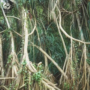 Piano Rainforest Reveries - Soothing Ambient