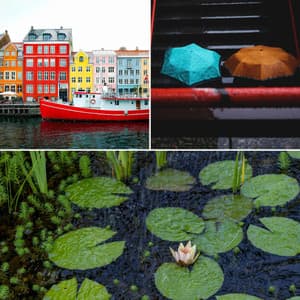 Ambiance for Cozy Thunderstorms - Background Restaurant Lounge Music