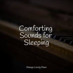 The Soothing Piano Tracks - Piano Masters