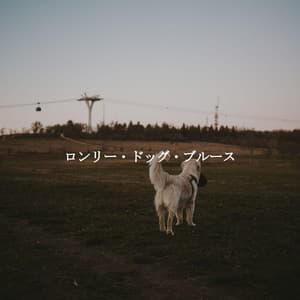 ロンリー・ドッグ・ブルース - Brazilian Jazz Deluxe