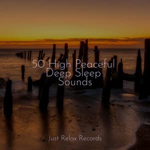 50 High Peaceful Deep Sleep Sounds - Chakra Balancing Sound Therapy