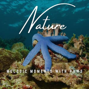 Pet's Zen Garden: Melodic Comfort - Pet Care Music Therapy