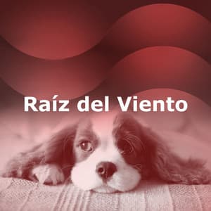 Raíz del Viento - Sueño profundo de onda delta