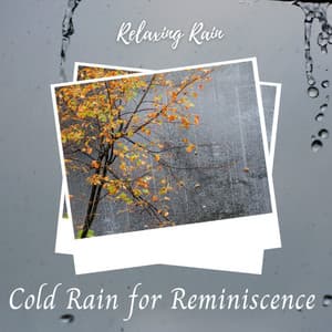 Relaxing Rain: Cold Rain for Reminiscence - Heavy Rain Sounds