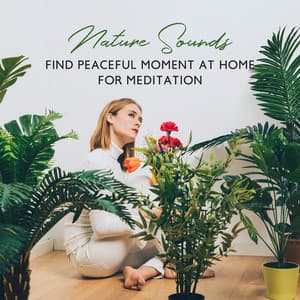 Nature Sounds – Find Peaceful Moment at Home for Meditation, Relaxation and Nap - Zen Natural Sounds