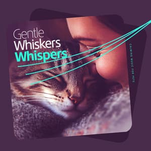 Gentle Whiskers Whispers - Calming Music For Pets