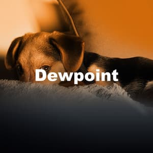 Dewpoint - Elements of Nature