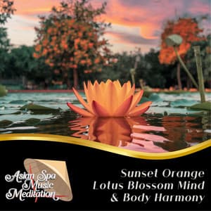 Sunset Orange Lotus Blossom Mind & Body Harmony - Asian Spa Music Meditation