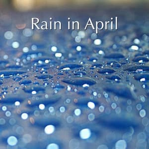 Rain in April - Sounds of Thunder and Rain