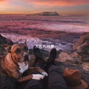 犬たちの夢 - Elevator Music