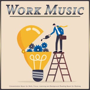 Work Music: Concentration Music for Work, Focus, Learning and Background Reading Music for Working - Work Playlist