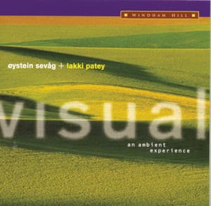 Visual: an ambient experience - Øystein Sevåg