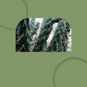 Cuddly - Relaxing Rituals - Smooth Jazz Jams