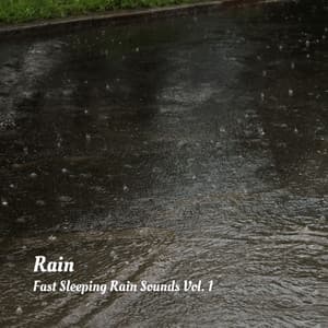 Rain: Fast Sleeping Rain Sounds Vol. 1 - Forest Sounds