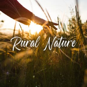 Rural Nature: Sounds Of Meadow, Farmland, Forest, Birdsong - Universe of Nature Orchestra