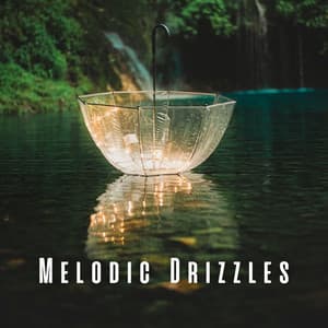 Melodic Drizzles: Thunder and Rain on Umbrella Relaxation - Nature Touch