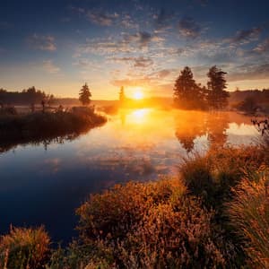 Music For The Inner Alchemist Turning Moments Into Gold - Max Relax