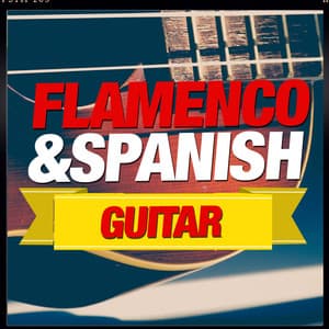 Flamenco and Spanish Guitar - Acoustic Guitar