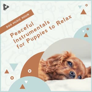 Peaceful Instrumentals for Puppies to Relax - Dog Music Hour