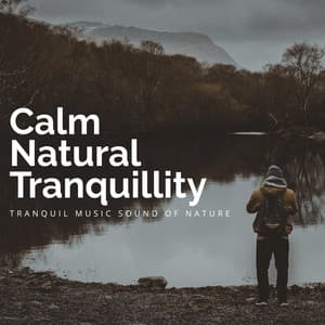 Calm Natural Tranquillity - Tranquil Music Sound of Nature