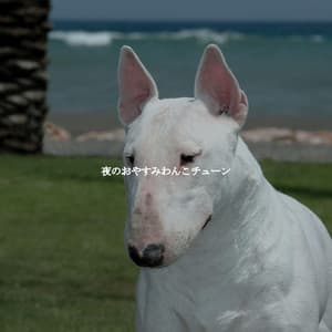 夜のおやすみわんこチューン - Bossa Cafe Deluxe