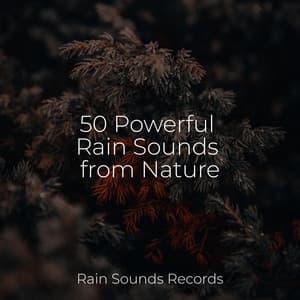 50 Powerful Rain Sounds from Nature - Sounds of Nature White Noise for Mindfulness, Meditation and Relaxation