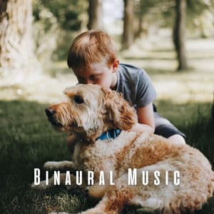 Binaural Music: Pets' Calming Journey - Binaural Beast