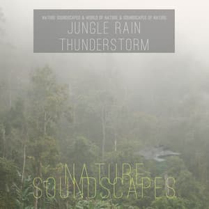 Jungle Rain Thunderstorm - Nature Soundscapes