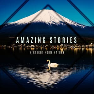 Amazing Stories Straight from Nature. Relaxing Soundtrack - Endless New Age Music Creator