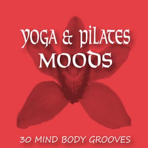 Yoga & Pilates Moods – 30 Mind Body Grooves - Zen Moods