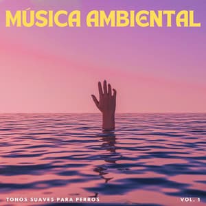 Música Ambiental: Tonos Suaves Para Perros Vol. 1 - Música ambiental relajante