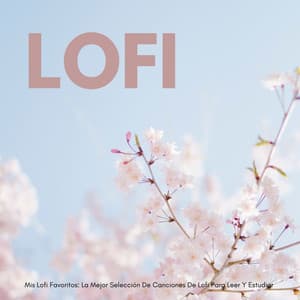 Mis Lofi Favoritos: La Mejor Selección De Canciones De Lofi Para Leer Y Estudiar - Lo-Fi para estudiar