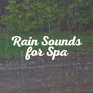 Rain Sounds for Spa - Rainy Dreaming