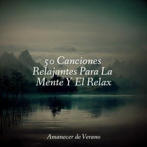50 Canciones Relajantes Para La Mente Y El Relax - El hada de las canciones de cuna