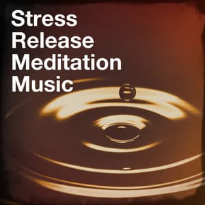 Stress release meditation music - Sounds of Nature White Noise for Mindfulness, Meditation and Relaxation